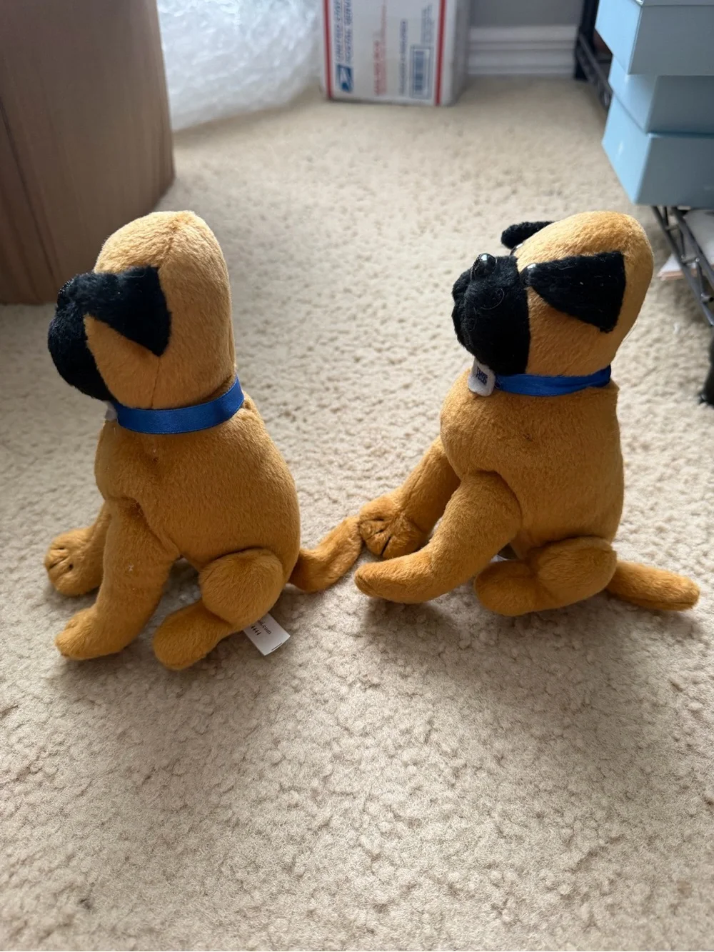 Plush Pug Dog stuffies - promotional for Jet Support askjessi